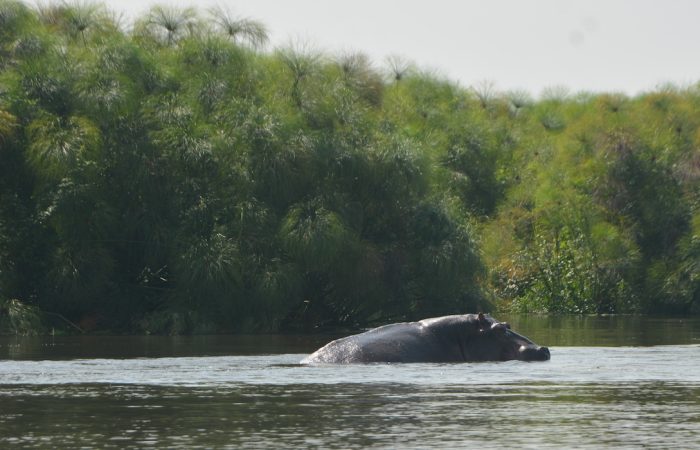 south sudan places to visit itinerary travel agent tour operator packages